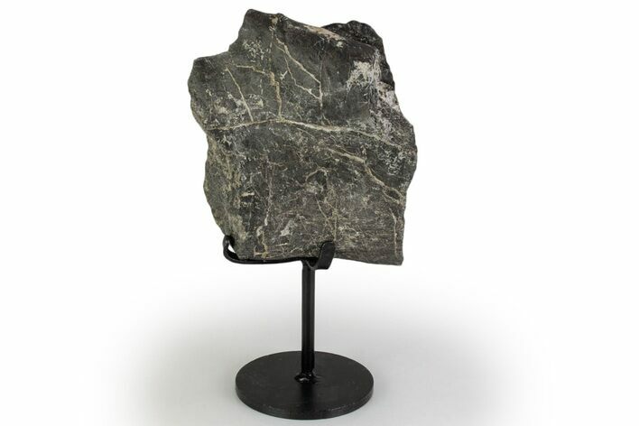 Fossil Sauropod Partial Vertebra w/ Metal Stand - Colorado #383264